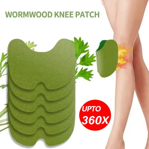 360 12x knee - knee, pain
